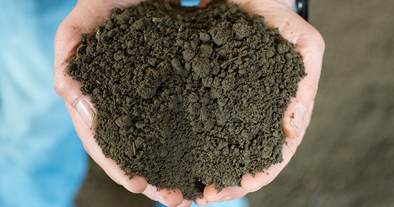 #2 Topsoil